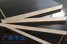 柳州建筑模板-覆模板多少钱一张