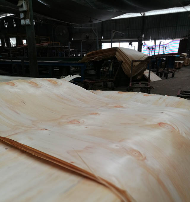 广西建筑模板生产木皮板材