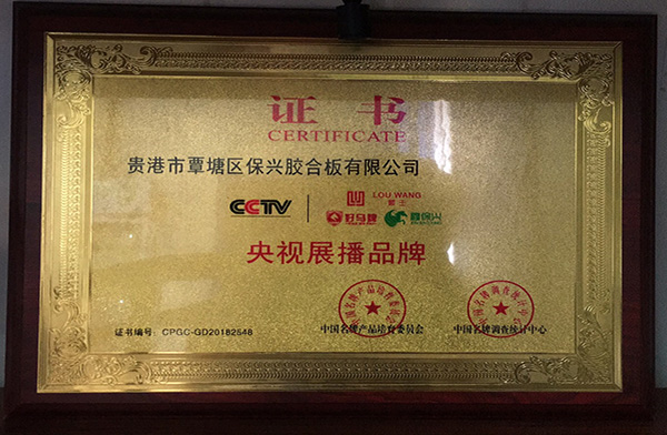建筑模板荣誉证书
